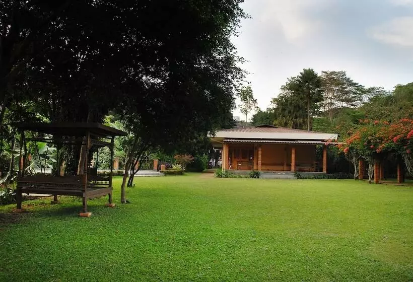 Fotos del hotel The Cipaku Garden:  5