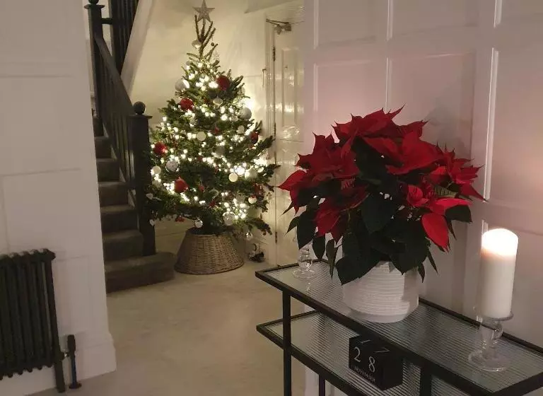 Fotos del hotel Chynoweth Lodge:  7