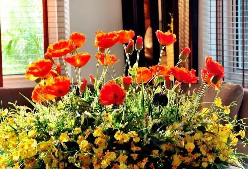 Fotos del hotel New Star Ha Long:  14