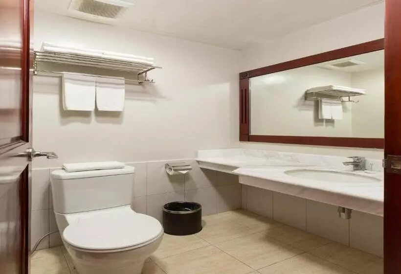 Fotos del hotel Mj Hotel And Suites:  19