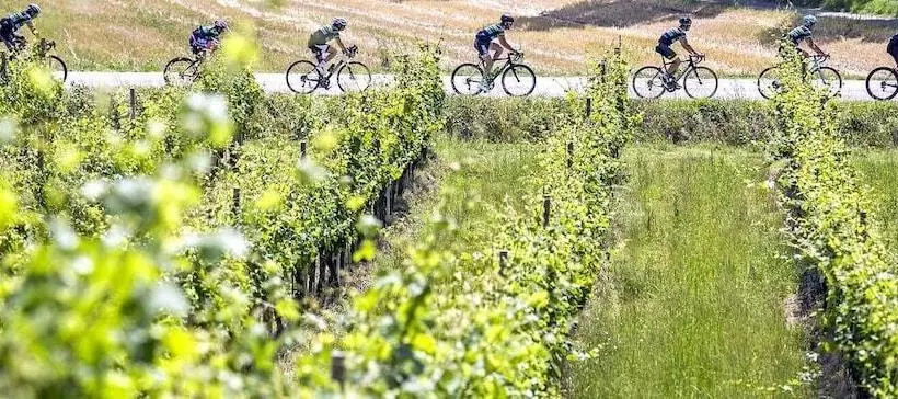 Fotos del hotel Le Querce:  7