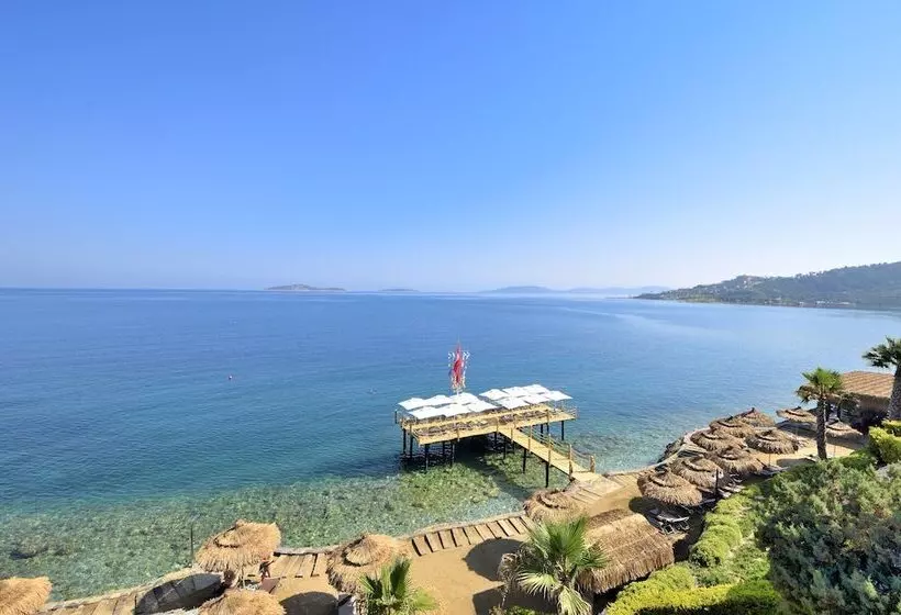 Fotos del hotel Sarpedor Boutique:  2