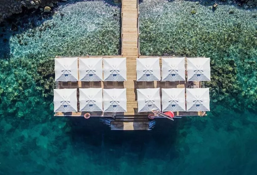 Fotos del hotel Sarpedor Boutique:  25