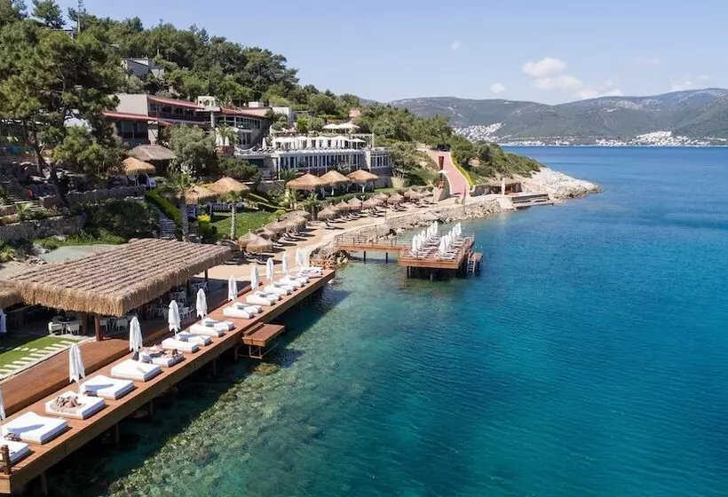 Fotos del hotel Sarpedor Boutique:  9