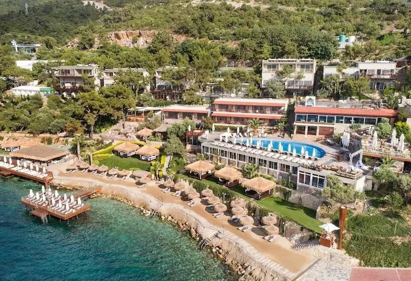 Fotos del hotel Sarpedor Boutique:  14