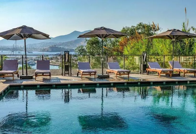 Fotos del hotel Senses:  12