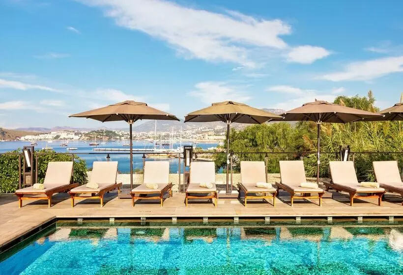 Fotos del hotel Senses:  9