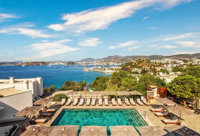 Fotos del hotel Senses:  7