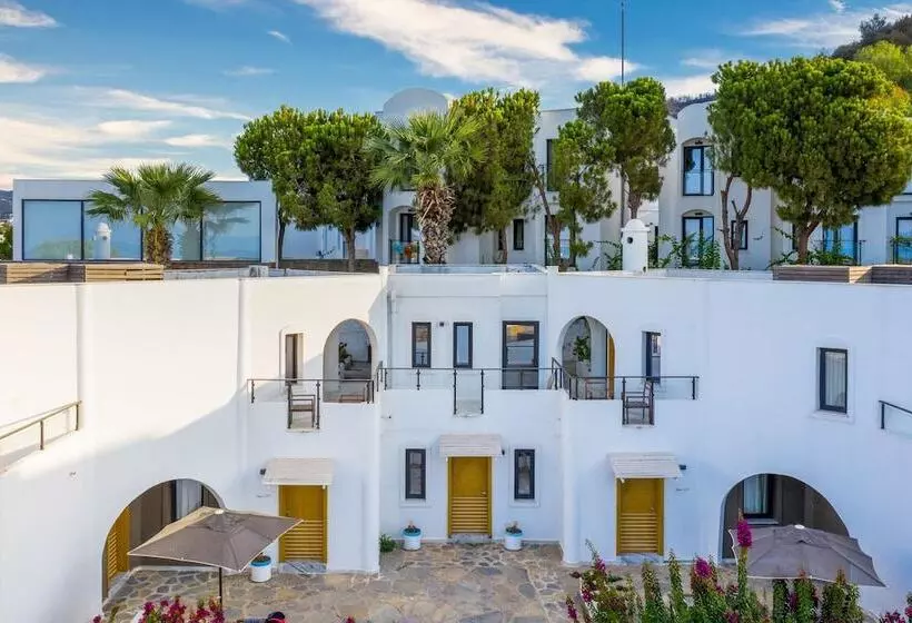 Fotos del hotel Senses:  25