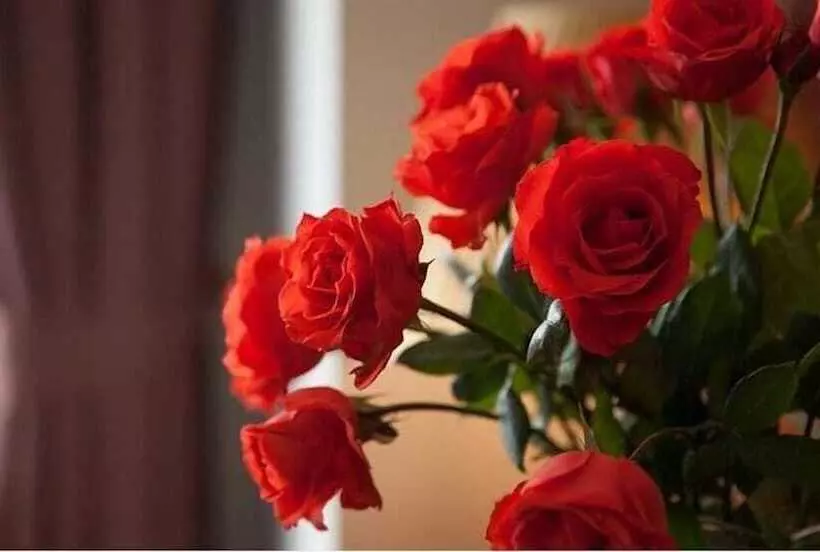 Fotos del hotel First Eden Hotel  Hang Bun:  6