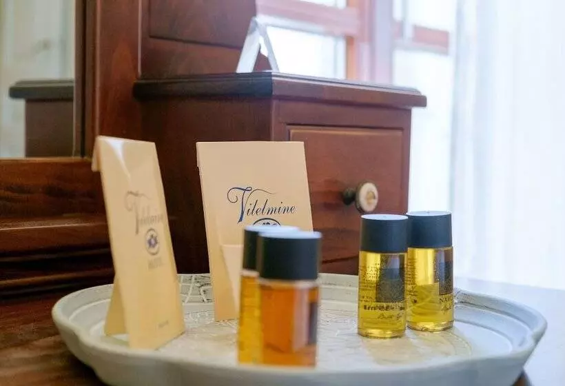 Fotos del hotel Vilelmine:  3