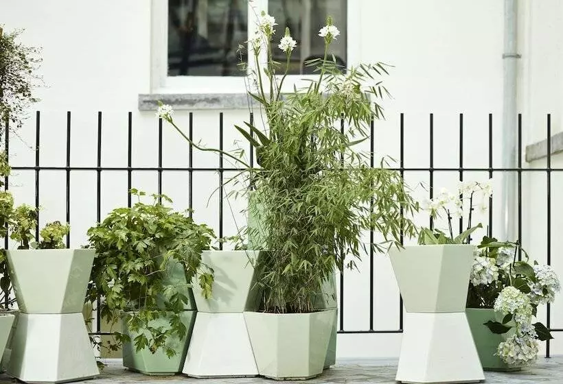 Fotos del hotel Des Galeries:  19