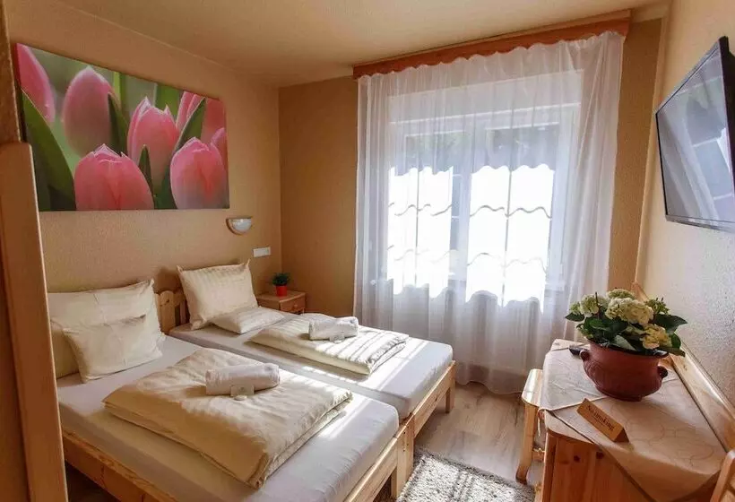 Fotos del hotel Karin:  19