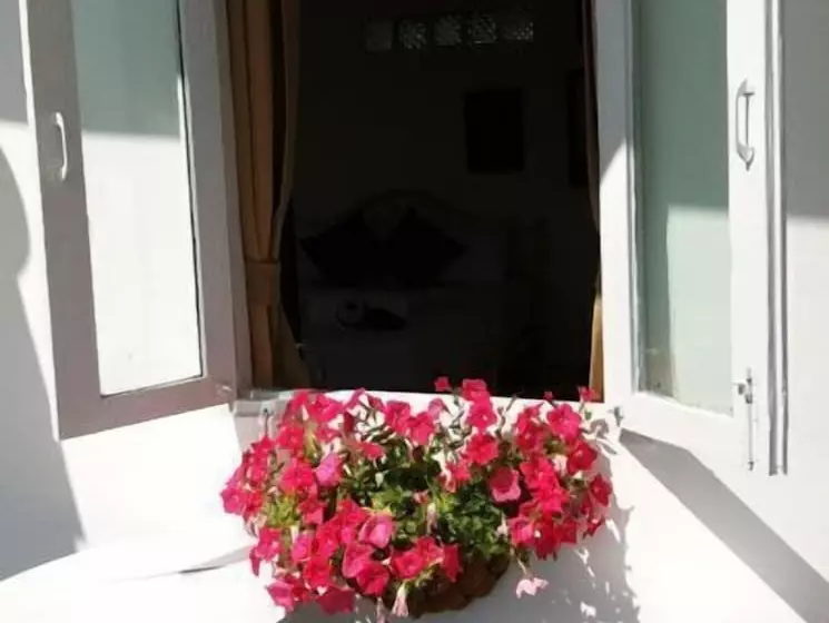 Fotos del hotel Sea Harmony Eco Lodge:  6