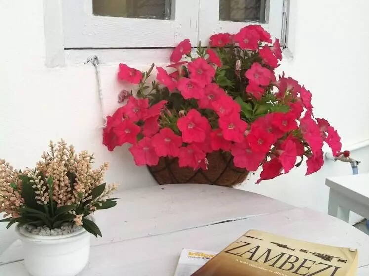 Fotos del hotel Sea Harmony Eco Lodge:  5