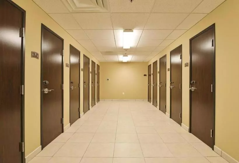 Fotos del hotel Staybridge Suites Chihuahua:  3