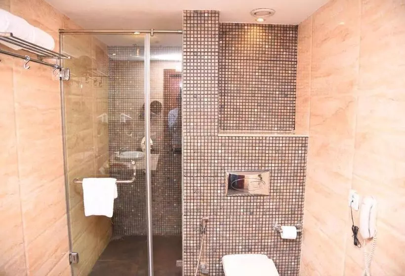 Fotos del hotel Celesta  Kolkata:  9