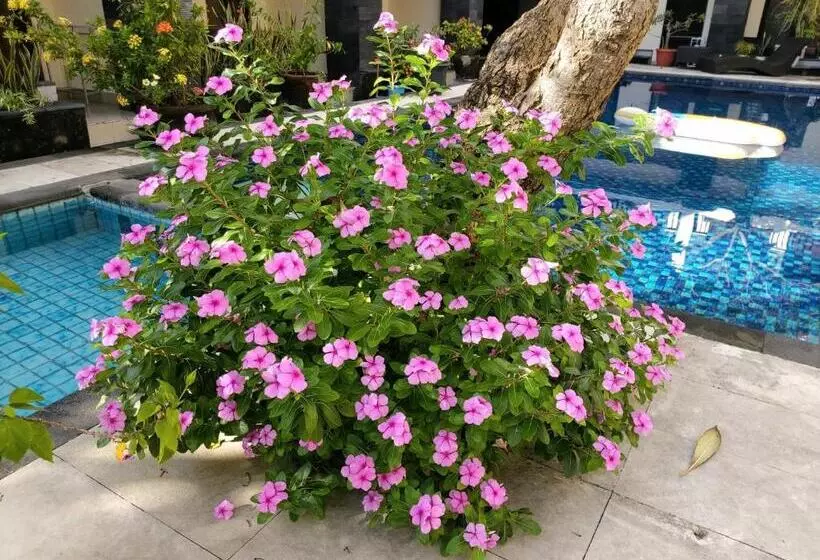 Fotos del hotel Radha Bali:  13