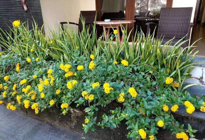 Fotos del hotel Radha Bali:  23