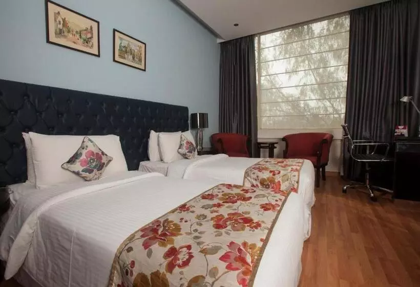 Fotos del hotel Athena:  11