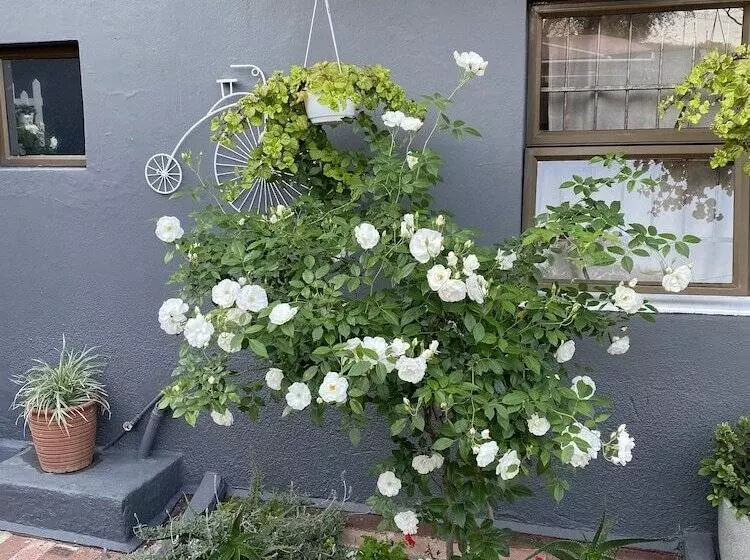 Fotos del hotel Marion Lodge:  6