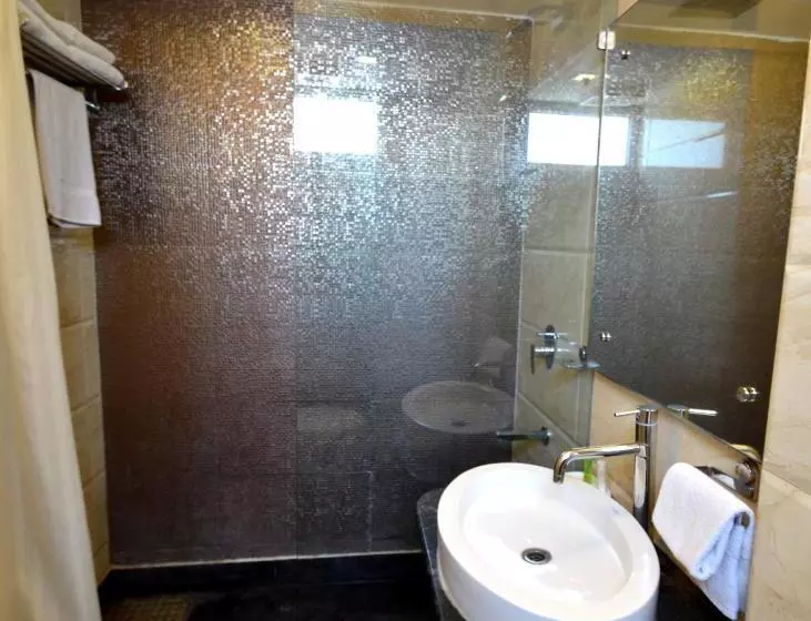 Fotos del hotel Metro View:  7