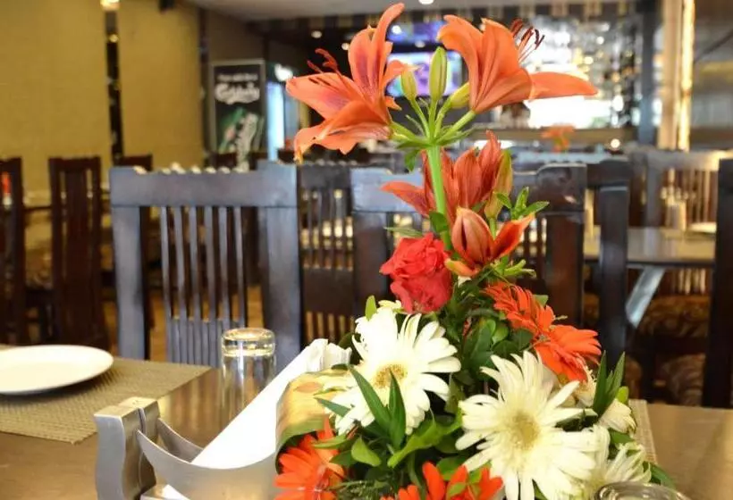 Fotos del hotel Metro View:  19