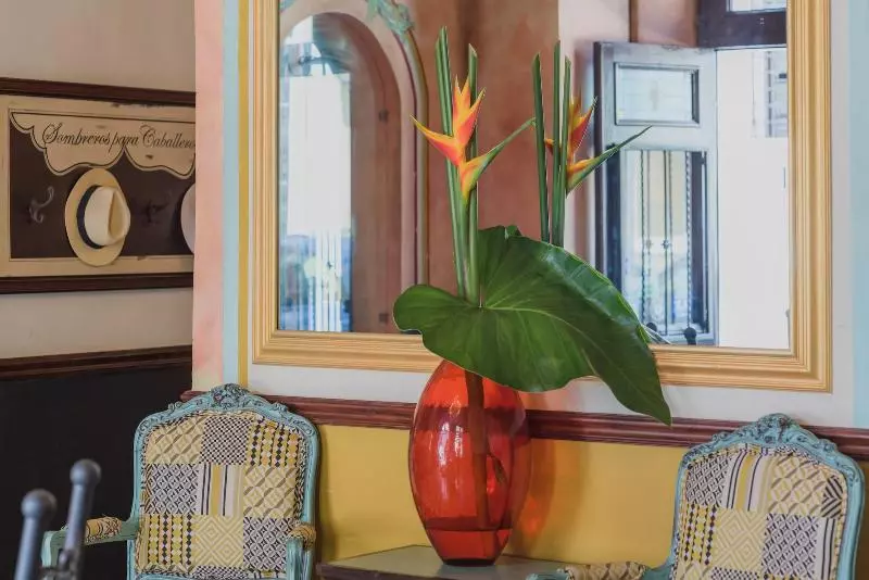 Fotos del hotel La Terraza De San Juan:  6