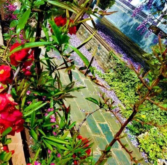 Fotos del hotel Baisha Holiday Resort Lijiang:  11