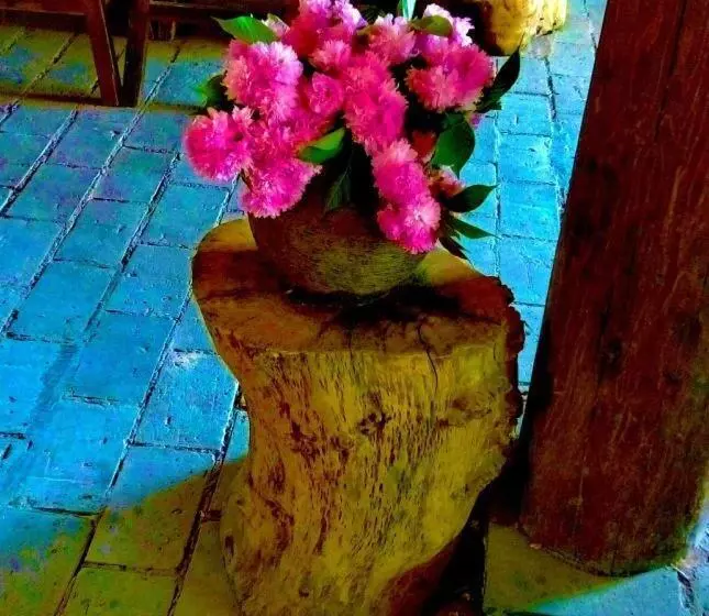 Fotos del hotel Baisha Holiday Resort Lijiang:  16