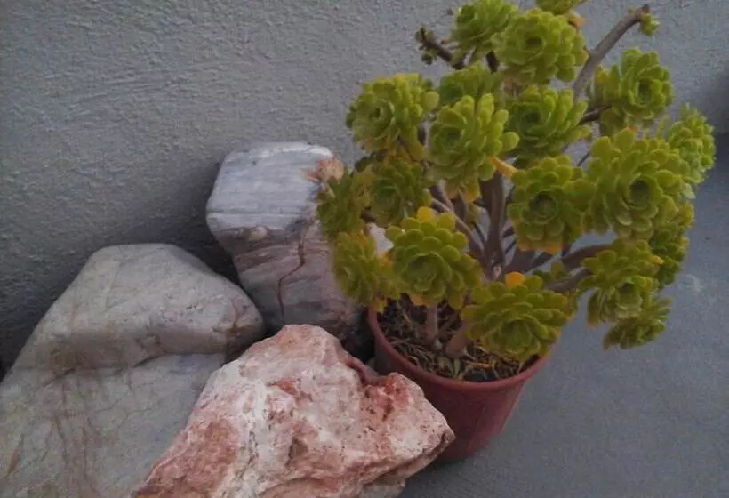 Fotos del hotel Villa Murano:  5