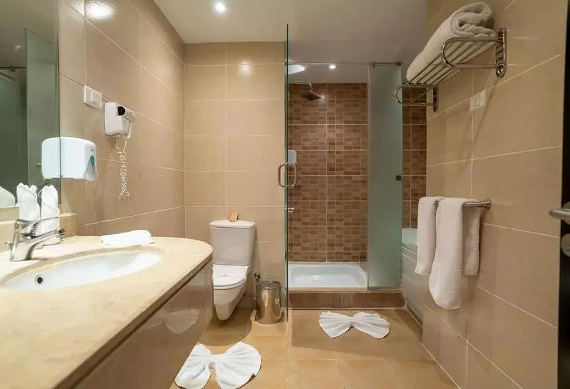 Fotos del hotel Swiss Inn Teda  & Aqua Park:  15