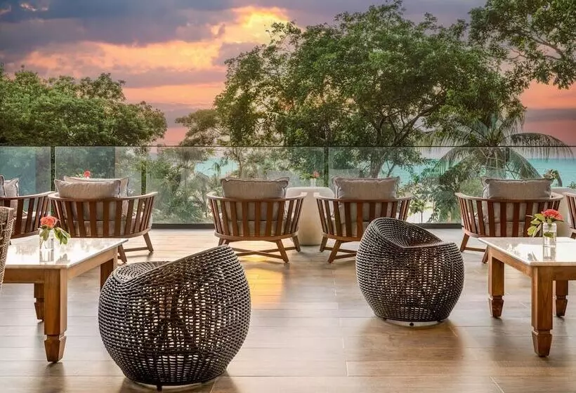 Fotos del hotel Grand Roatan Caribbean Resort:  12