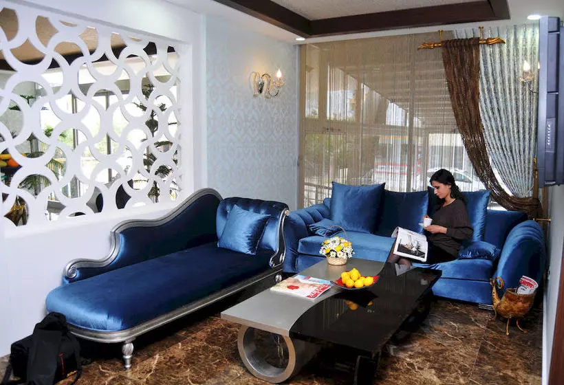 Fotos del hotel Niss Business:  18