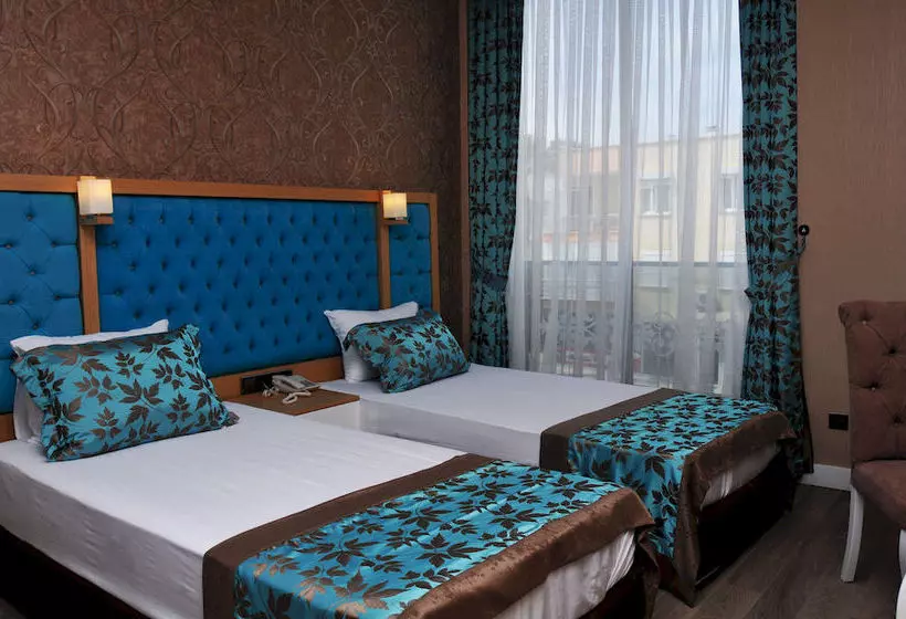 Fotos del hotel Niss Business:  13