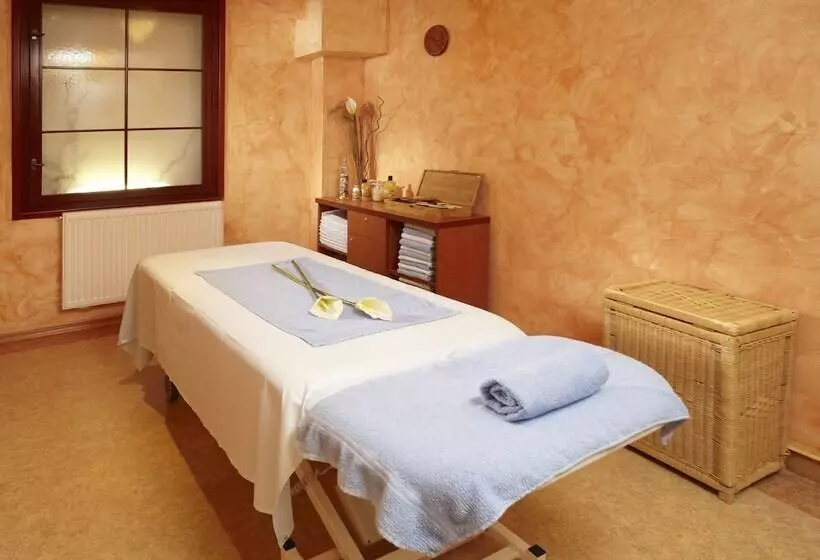 Fotos del hotel Orea  Anglický Dv?r Mariánské Lázn?:  13