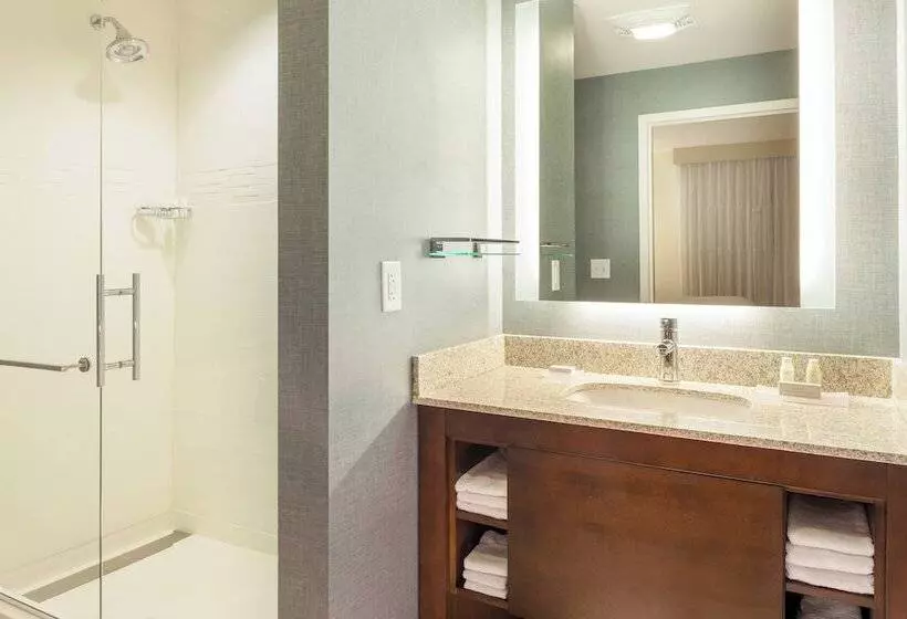 Fotos del hotel Residence Inn By Marriott Orlando Downtown:  15