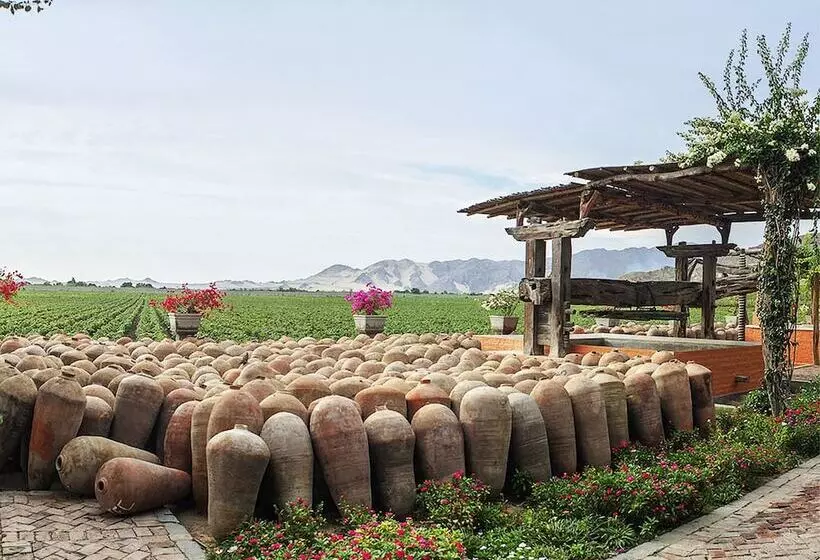 Fotos del hotel Viñas Queirolo:  14