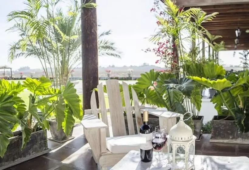 Fotos del hotel Viñas Queirolo:  5