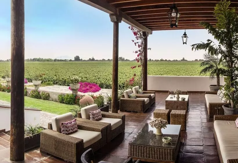 Fotos del hotel Viñas Queirolo:  10