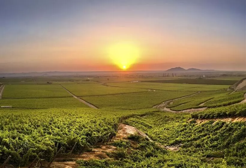 Fotos del hotel Viñas Queirolo:  7