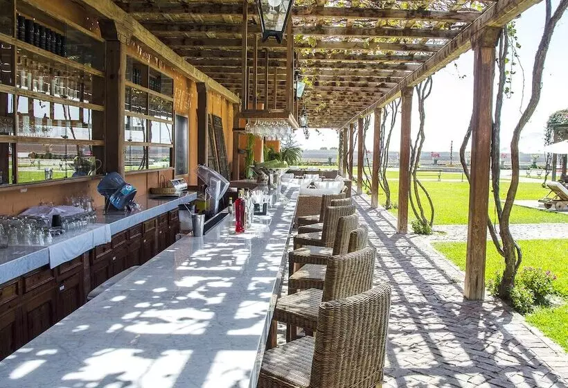 Fotos del hotel Viñas Queirolo:  12