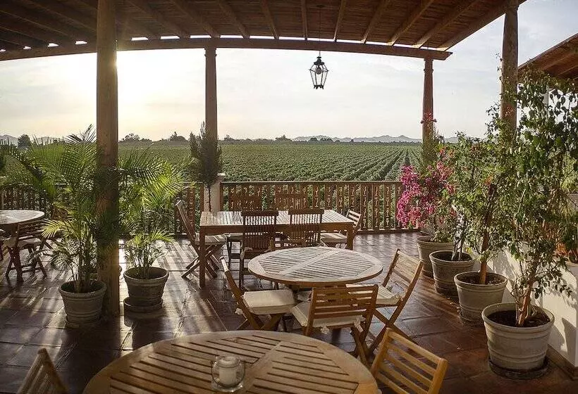 Fotos del hotel Viñas Queirolo:  13