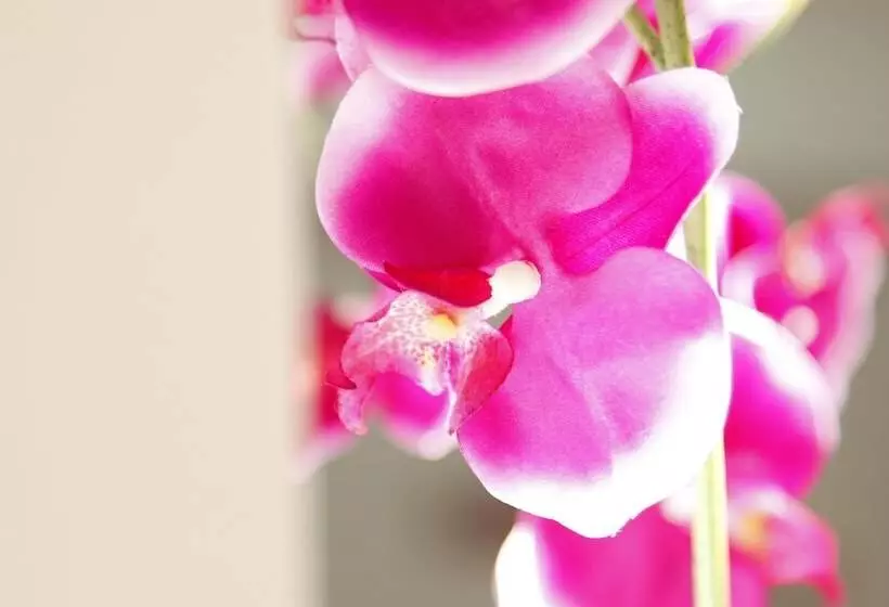 Fotos del hotel Poma:  11