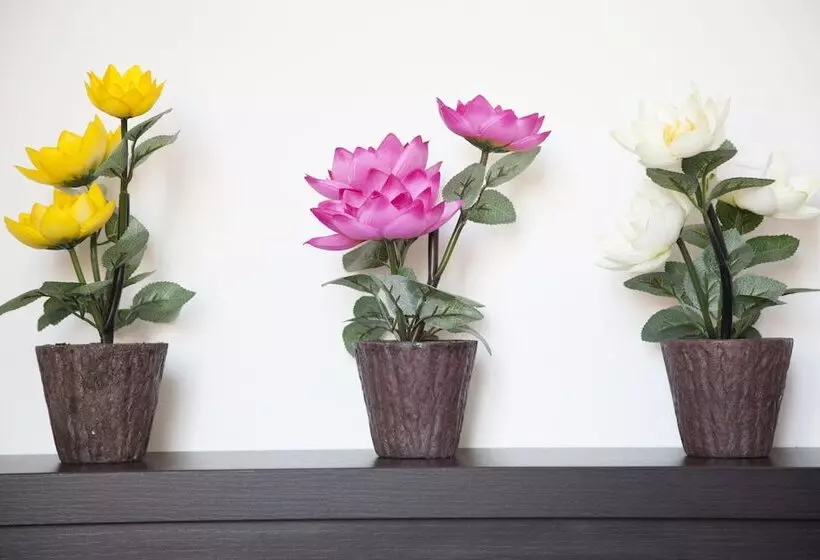 Fotos del hotel Poma:  23