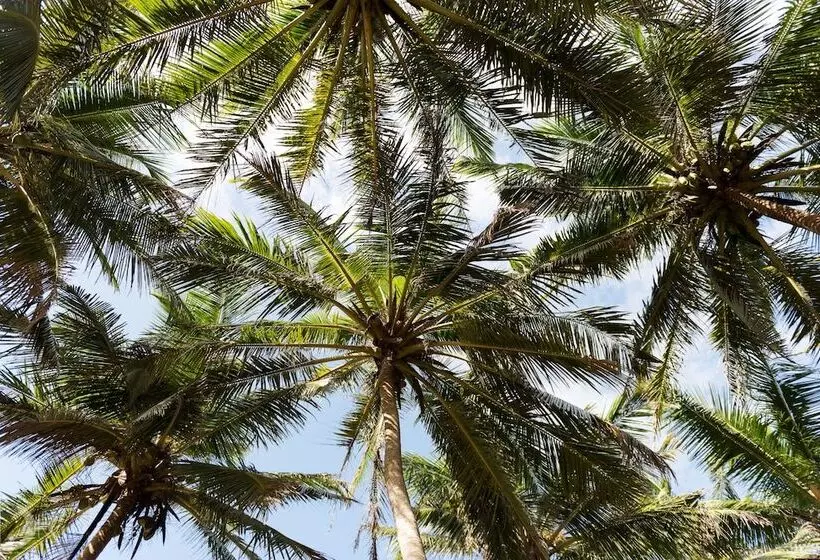 Fotos del hotel Turtle Bay:  14