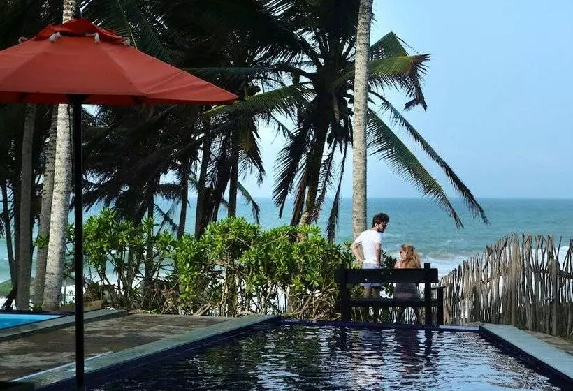 Fotos del hotel Turtle Bay:  2