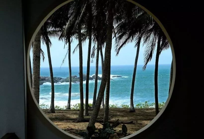 Fotos del hotel Turtle Bay:  5