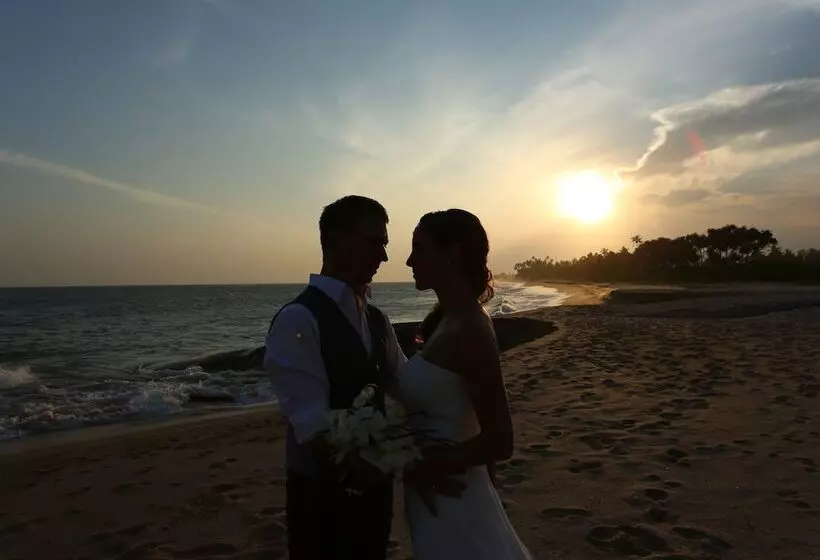 Fotos del hotel Turtle Bay:  15