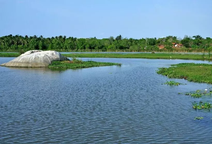 Fotos del hotel Turtle Bay:  11